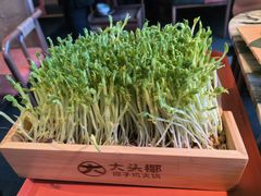 -大头椰·椰子鸡火锅(南宁万象城店)