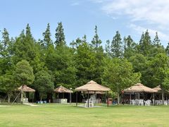 -上海长兴岛郊野公园