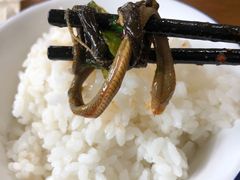 -乐山第一家临江鳝丝(茶坊路店)