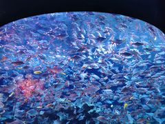 -成都浩海立方海洋公园