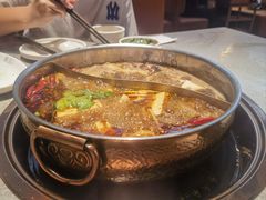 -菌自在·云南野生菌火锅(长安万达店)