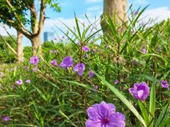 -白塘生态植物园