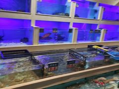 -宜宾海鲜酒家·三十年老字号