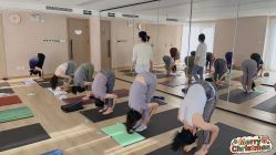 -酉嘉瑜伽YO+YOGA