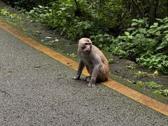 -黔灵山公园