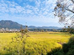 -黟县屏山村