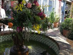 -The Grounds of Alexandria