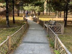 -森林公园(尖草坪区)