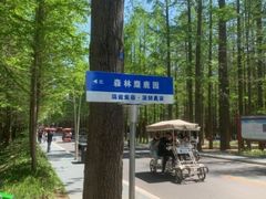 -渡海小渔村.老辈日照菜
