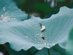 -文华公园(禅城区)