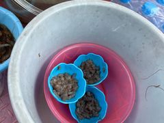 -小猫钓鱼海钓俱乐部(椰梦长廊店)