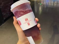 多肉葡萄-树夏(金楠天街店)