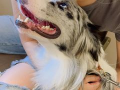 -牛品福潮汕牛肉火锅(旺庄店)