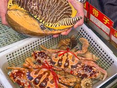 -东江海鲜大排档·潮汕菜·砂锅粥
