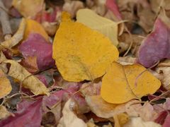 -苏州河梦清园环保主题公园