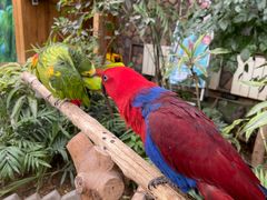 -南宫五洲植物乐园