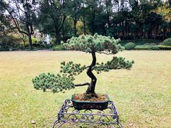-申粤轩酒楼·三十年粤菜经典(丁香花园店)