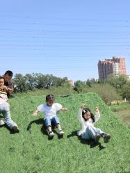 -268童话露营农场·烧烤·团建
