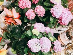 -AEON永旺(东方宝泰店)