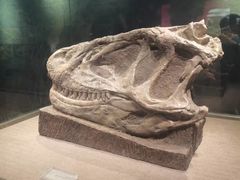 -自贡恐龙博物馆