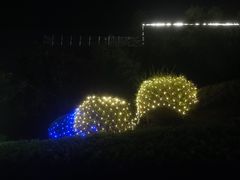 -陕西汤峪会议中心温泉酒店