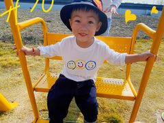 -菊园百果园
