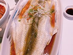 清蒸太湖白鱼-翡翠江南(国贸商城店)