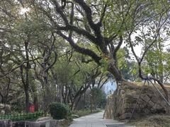 -乌山风景区