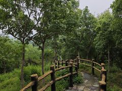 -北宫国家森林公园