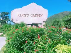 -芽庄珍珠岛游乐园
