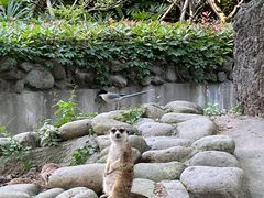 -上海野生动物园