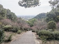 -宁波市保国寺古建筑博物馆