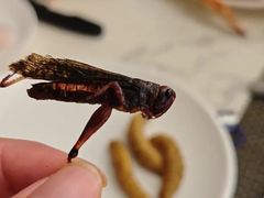 -福禧荟·海鲜自助