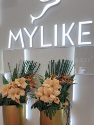 点击看大图 -深圳美莱医疗美容医院