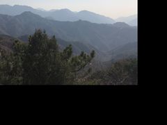 -龙虾风暴(松江店)