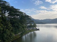 -顺峰山公园