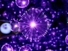 -杭州西湖星空魔幻城(星空艺术馆品牌旗舰店)