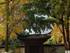 -郑和公园