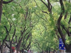 -北京国子监胡同