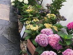 -南紀白浜 浜千鳥の湯 海舟