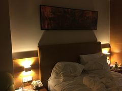 -北京望京华彩智选假日酒店