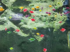 -苏州海洋馆