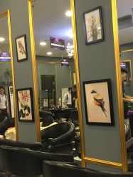 -BHG Hair Salon