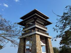 -大湾区中央湿地公园