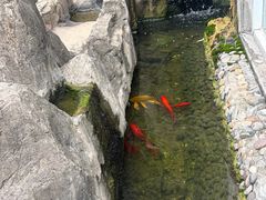 -海韵之星邮轮水会(明发商业广场店)