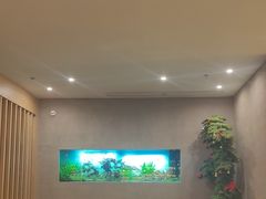 -松临·铁板烧&Omakase(神农店)