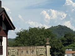 -十八棵（老龙井）御茶园(老龙井店)