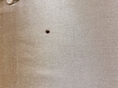 -重庆悦来温德姆酒店