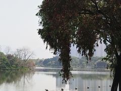 -飞来湖湿地公园
