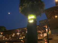 -厦门日月谷温泉渡假村